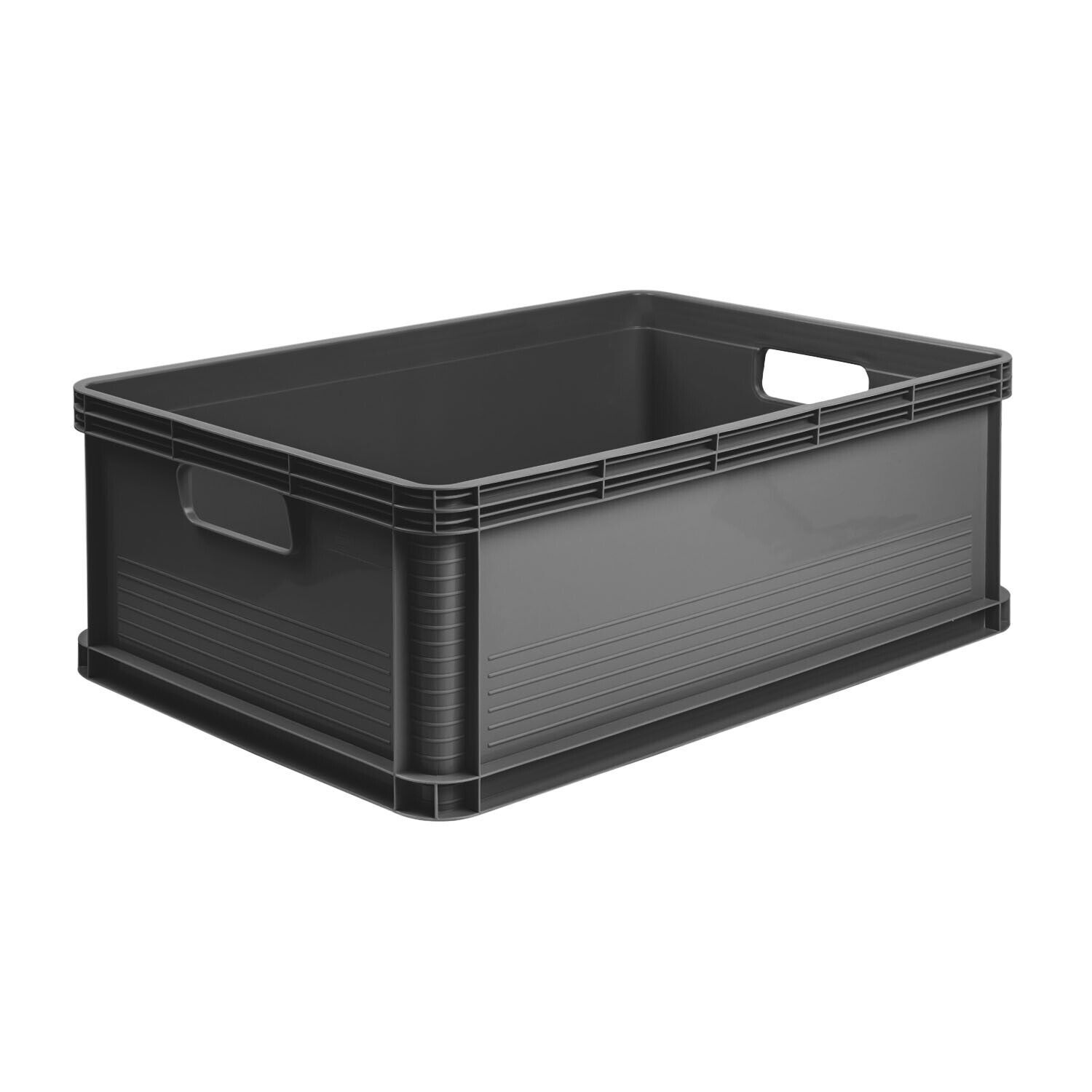 Eurobox Robusto Box custode Robert maniglie per il trasporto scatola di...