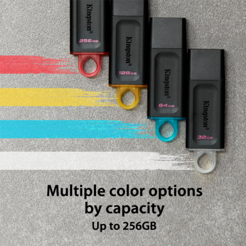 Kingston DTX/64GB Chiavette USB - Nero
