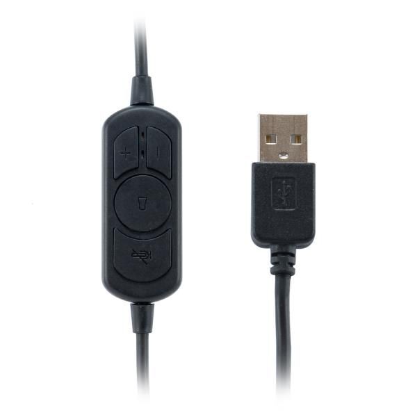 Conceptronic Cuffia Cablata A Padiglione Ufficio USB Tipo A Nero 245305-Conceptr