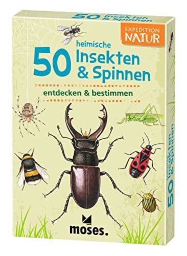 Expedition Natur 50 heimische Insekten & Spinnen: entdecken & (T1Q)