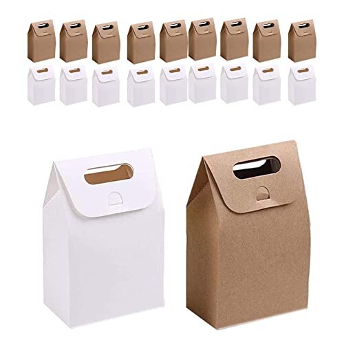 Hoshisea 20 Pezzi da Sacchetti Regalo in Carta Kraft, Sacchetti Regalo in (C2x)