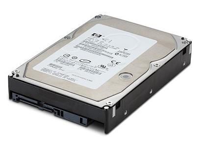 DRV HD 600GB 2.5 10K 6G SAS