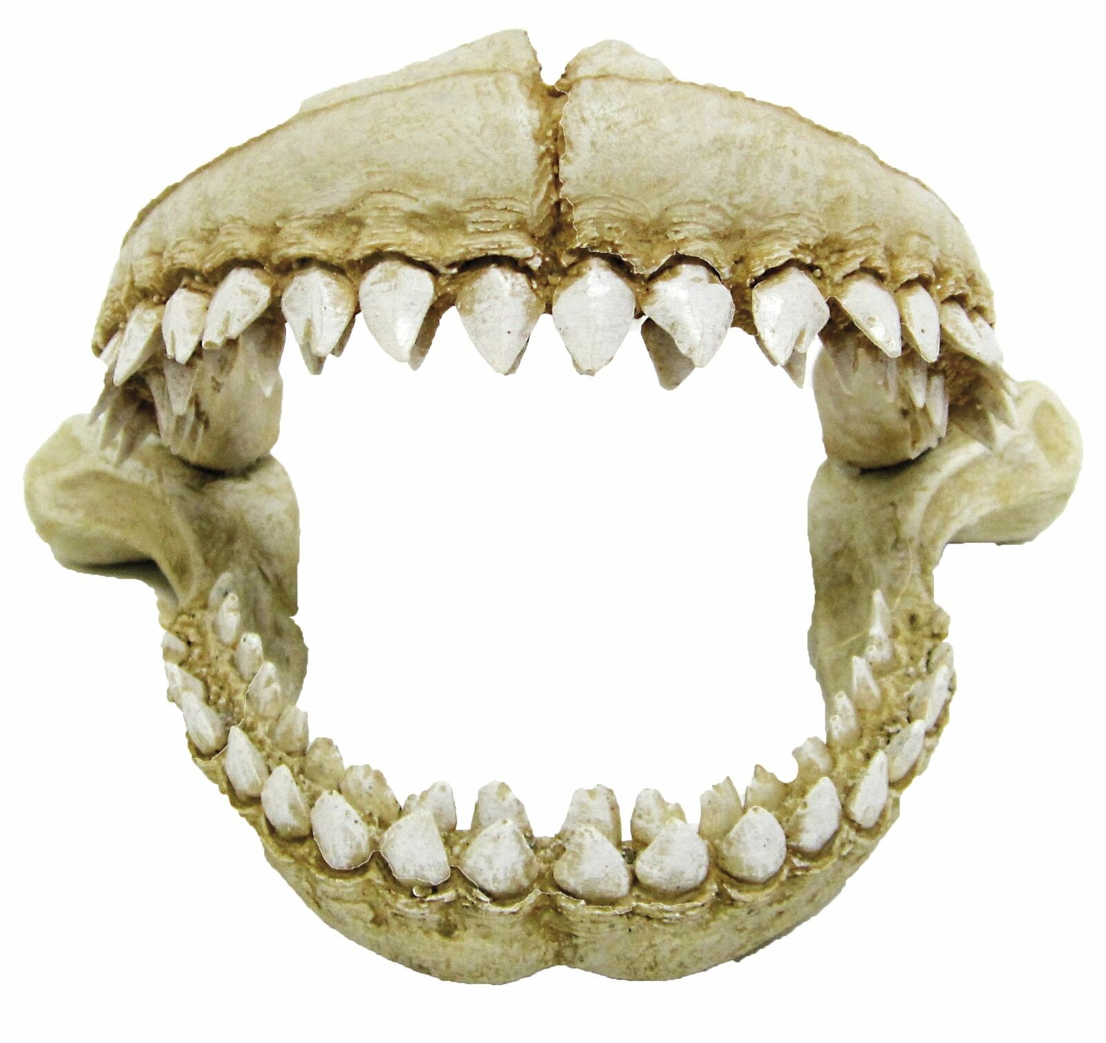 Wave Denti di Squalo L (e2d)