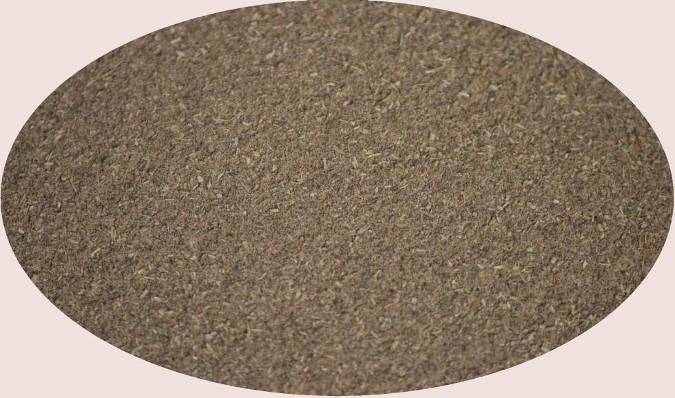 Radice di Bertram macinata - 1kg / Radix Pyrehtri - Spezie Eder