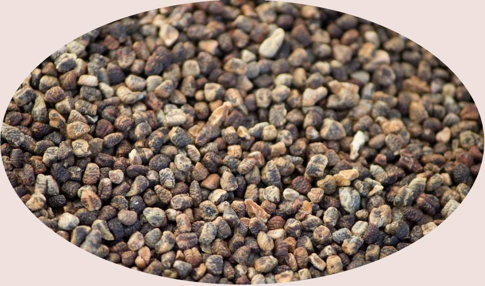 Cardamomo nero intero - 1kg - Eder Spices Spice