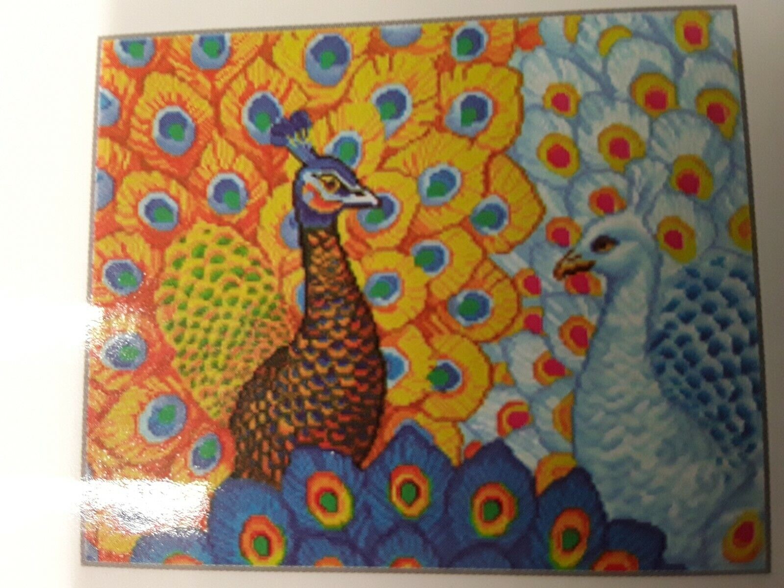 Diamond Dotz Pavoni quadro con strass diamante sfaccettato Art kit  Peacocks
