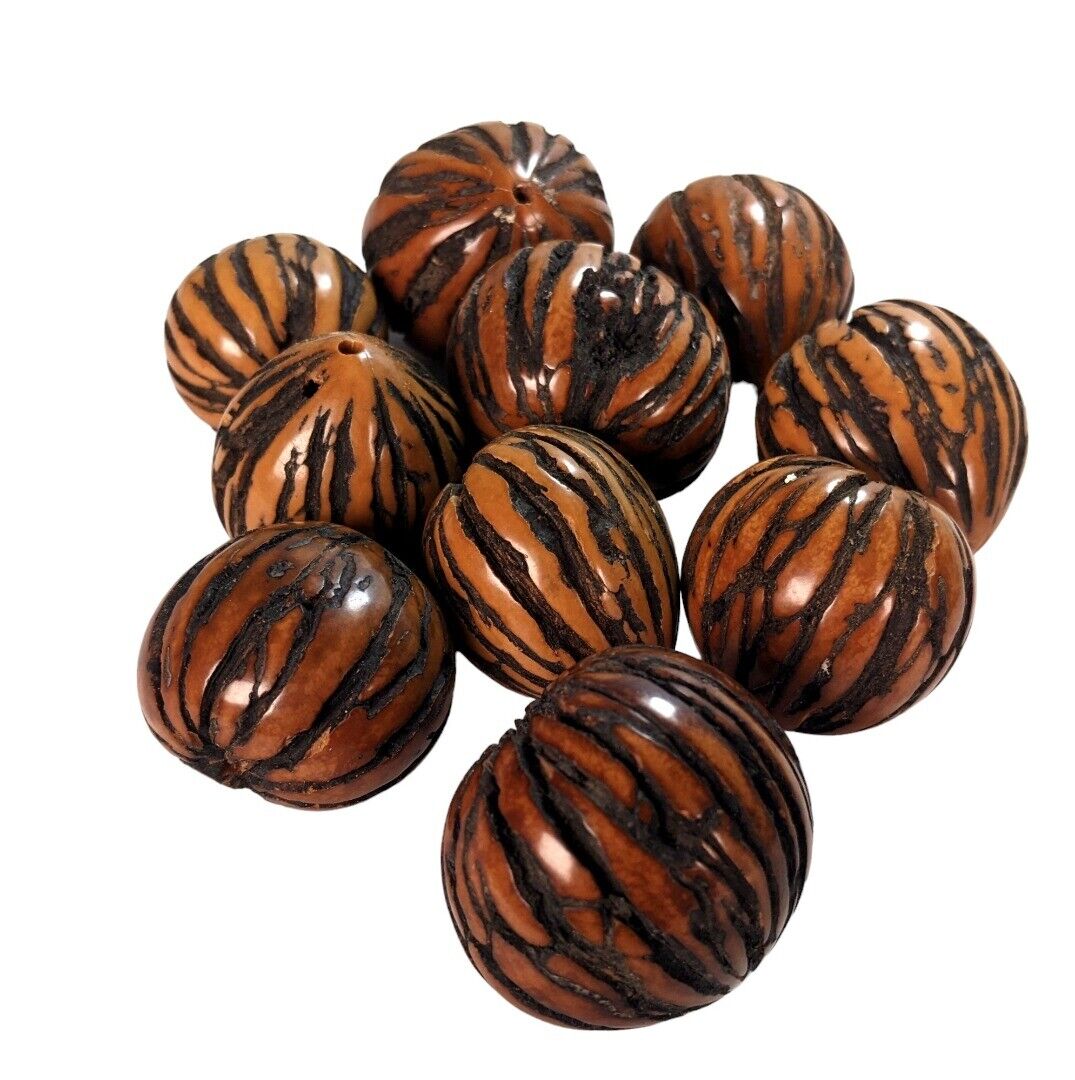 2 X Fiera Commercio Ecuador Tagua Foresta Pluviale Enorme Perline Tocte Andina
