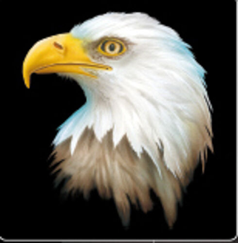 3 Stencils A4 aerografo "Eagle Wildlife" AQUILA Harder & Steenbeck (410129)