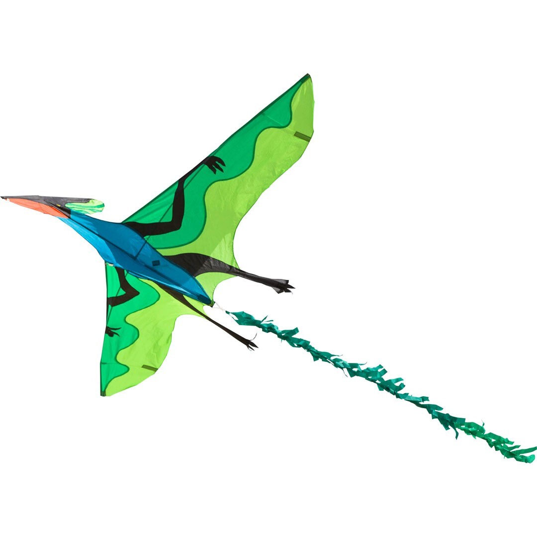 AQUILONE ready to fly FLYING DINOSAUR 3D single line kite DINOSAURO diamond INVE