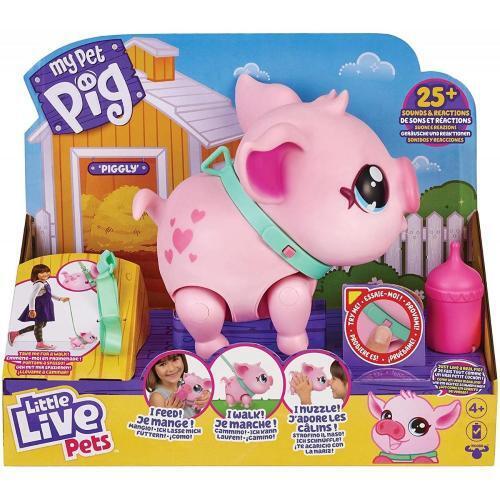 MY PET PIG