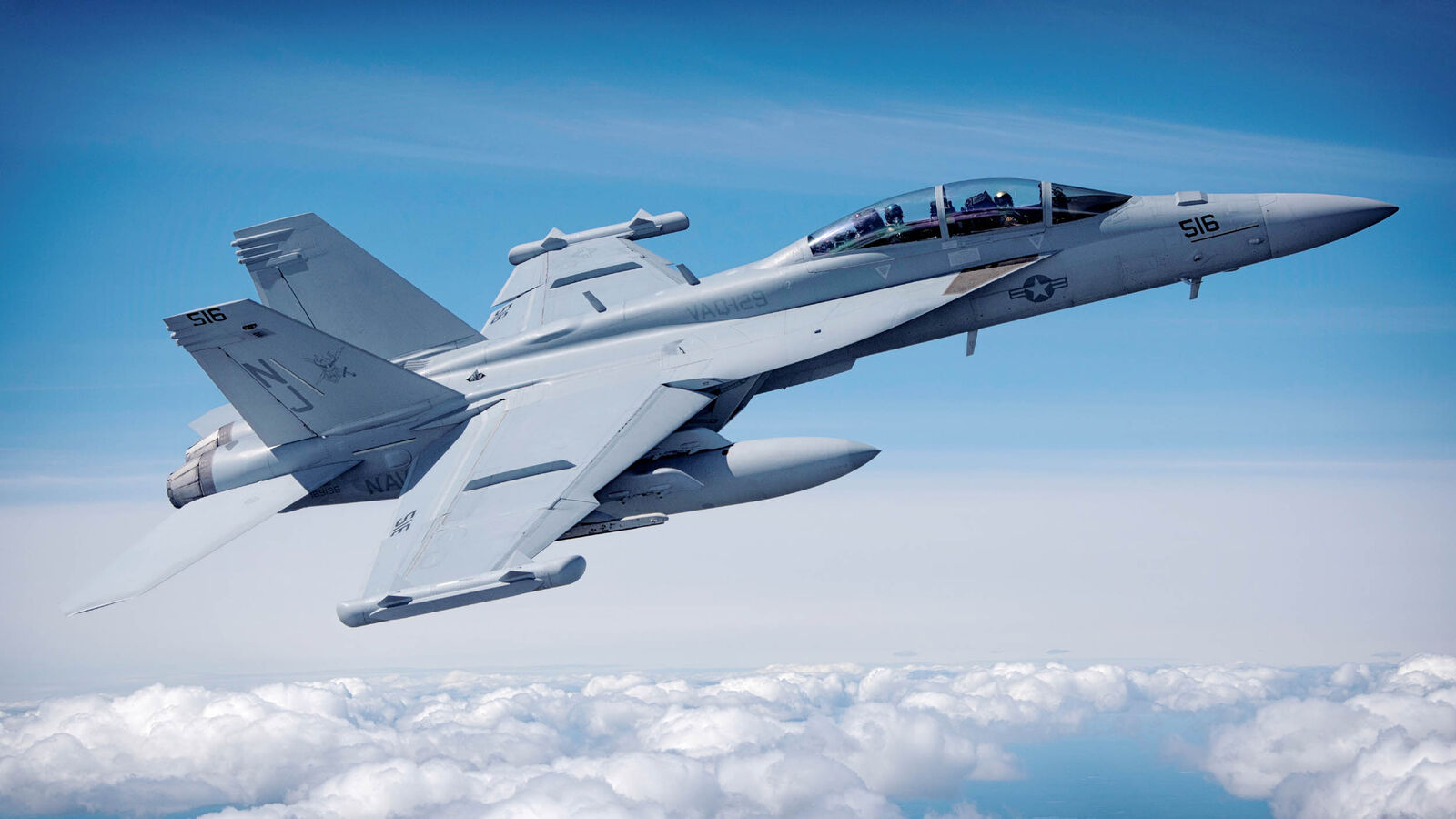Ea-18g Growler 1:48 Model Kit HOBBY BOSS