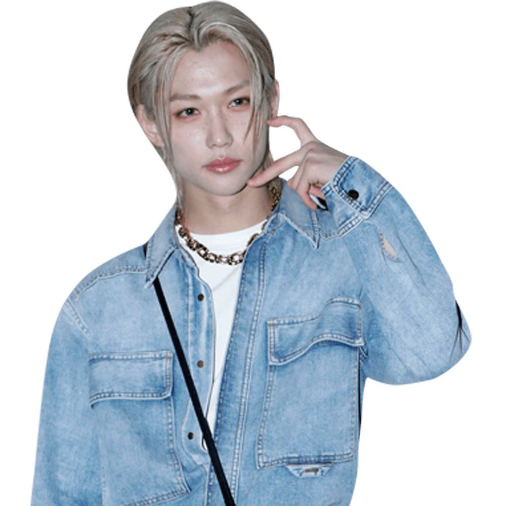 Felix Lee (Denim) Half Body Buddy Cutout