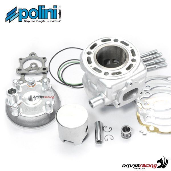 Gruppo termico Polini 94 cc D.52 per MBK Nitro 50 1996> 2T raffreddato ad acqua