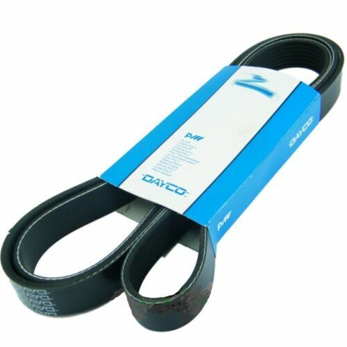 Cinghia servizi ausiliare per Mercedes Classe A 170 W168 CDI 1.7  668942