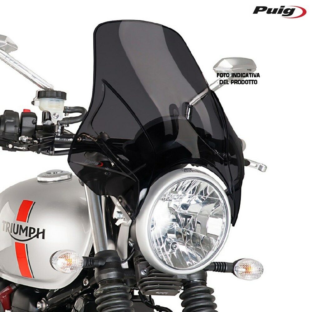 PUIG 4620F CUPOLINO PLUS FUME SCURO RAPTOR (N301AB) 2003-2012