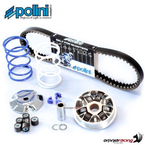 Polini variator kit for Peugeot Speedake 50 2T air cooled