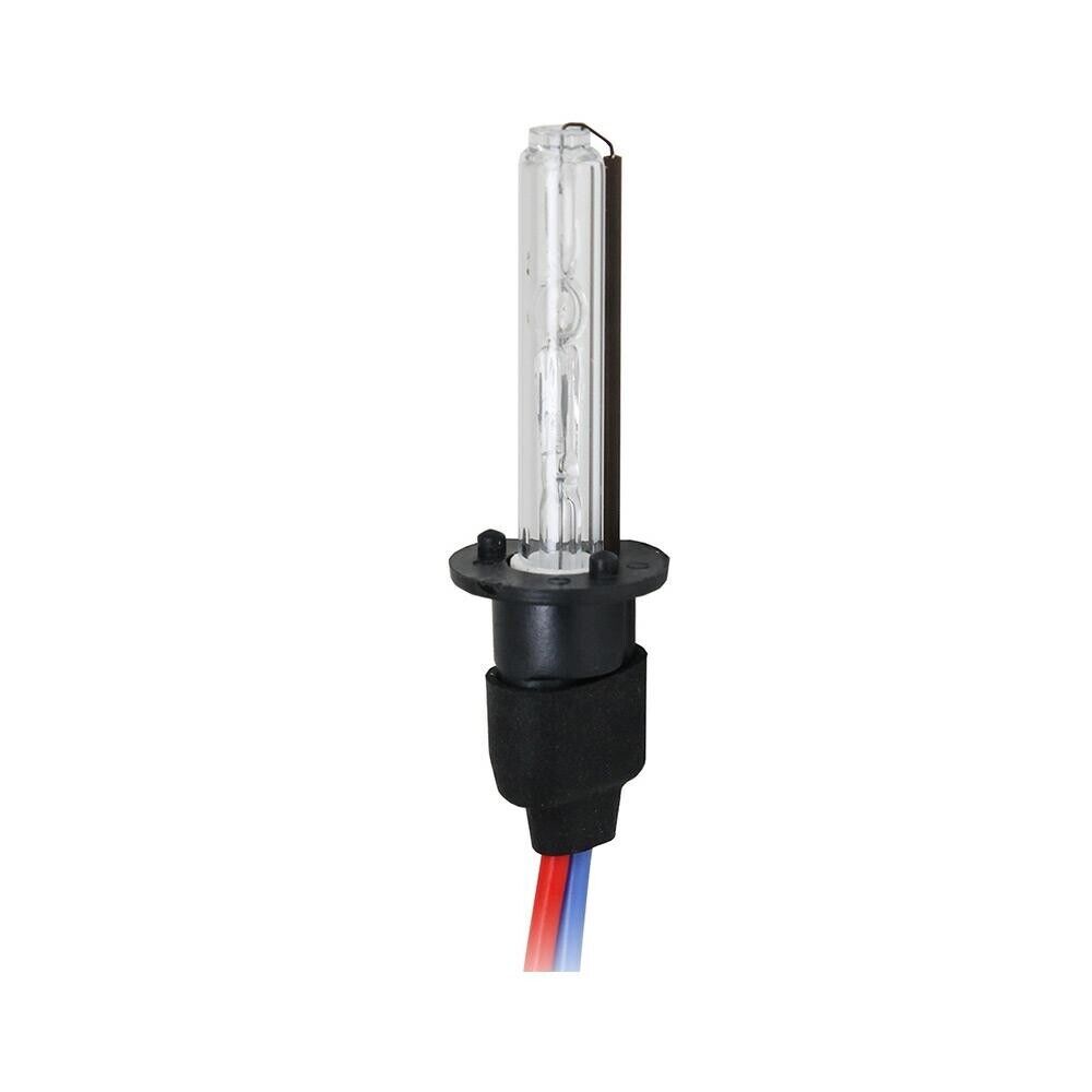 H1 Xenon 6000°K 1 lampada 2600 lm 35W 12V
