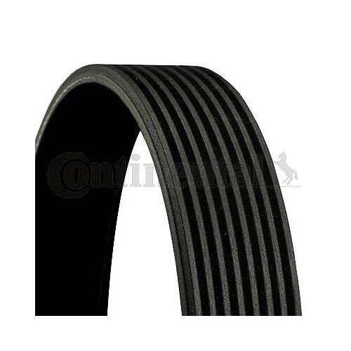 Cinghia Poly V Continental Ctam 8PK2380 per Daf Mercedes Benz Mercedes Benz