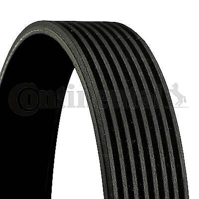 CONTINENTAL CTAM Cinghia Poly-V  8PK1688