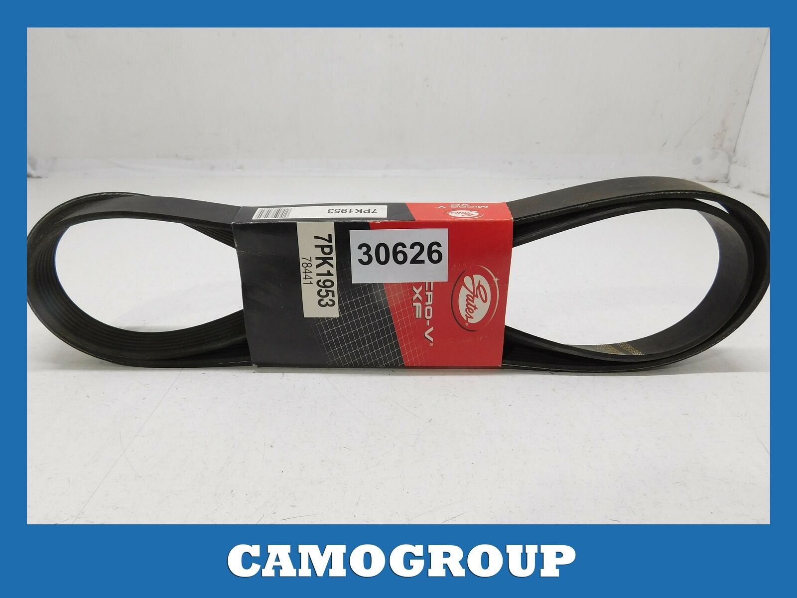 CINGHIA SERVIZI V-RIBBED BELTS LANCIA DEDRA DELTA ALFA ROMEO 146 155 7PK1953