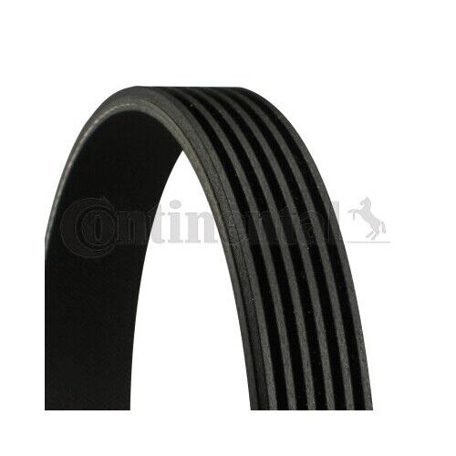 Cinghia Poly V Continental Ctam 6PK2280 per Audi Chrysler Ford Mazda Jeep
