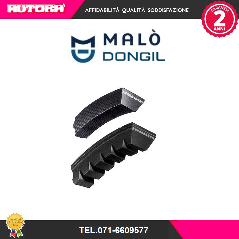 10X975 Cinghia trapezoidale (MARCA DONGIL).