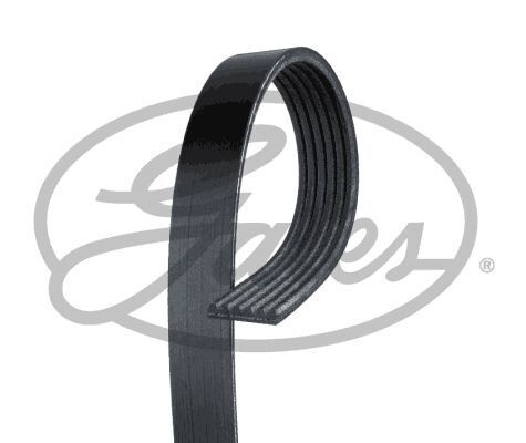 Cinghia Poly-V - GATES 6PK1173