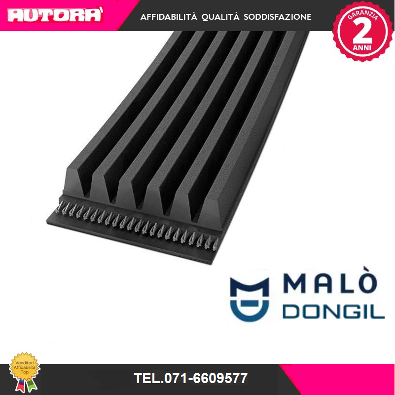 4PK1520 Cinghia Poly-V (MARCA-DONGIL).