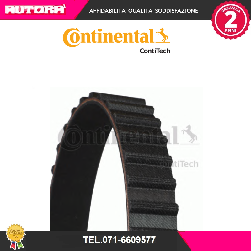 CT1121 Cinghia dentata (CONTITECH)