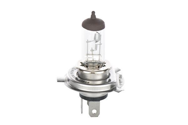 BOSCH Lampadina 24V 1 987 302 441