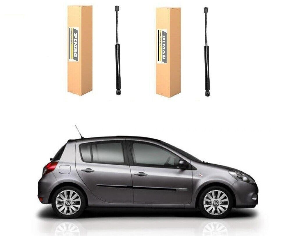 Coppia Ammortizzatori Pistoncini Portellone Posteriore Renault Clio III