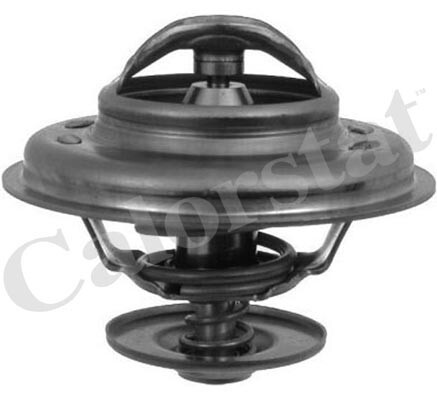 TH5111.88J CALORSTAT by Vernet Termostato, Refrigerante per BMW,VOLVO