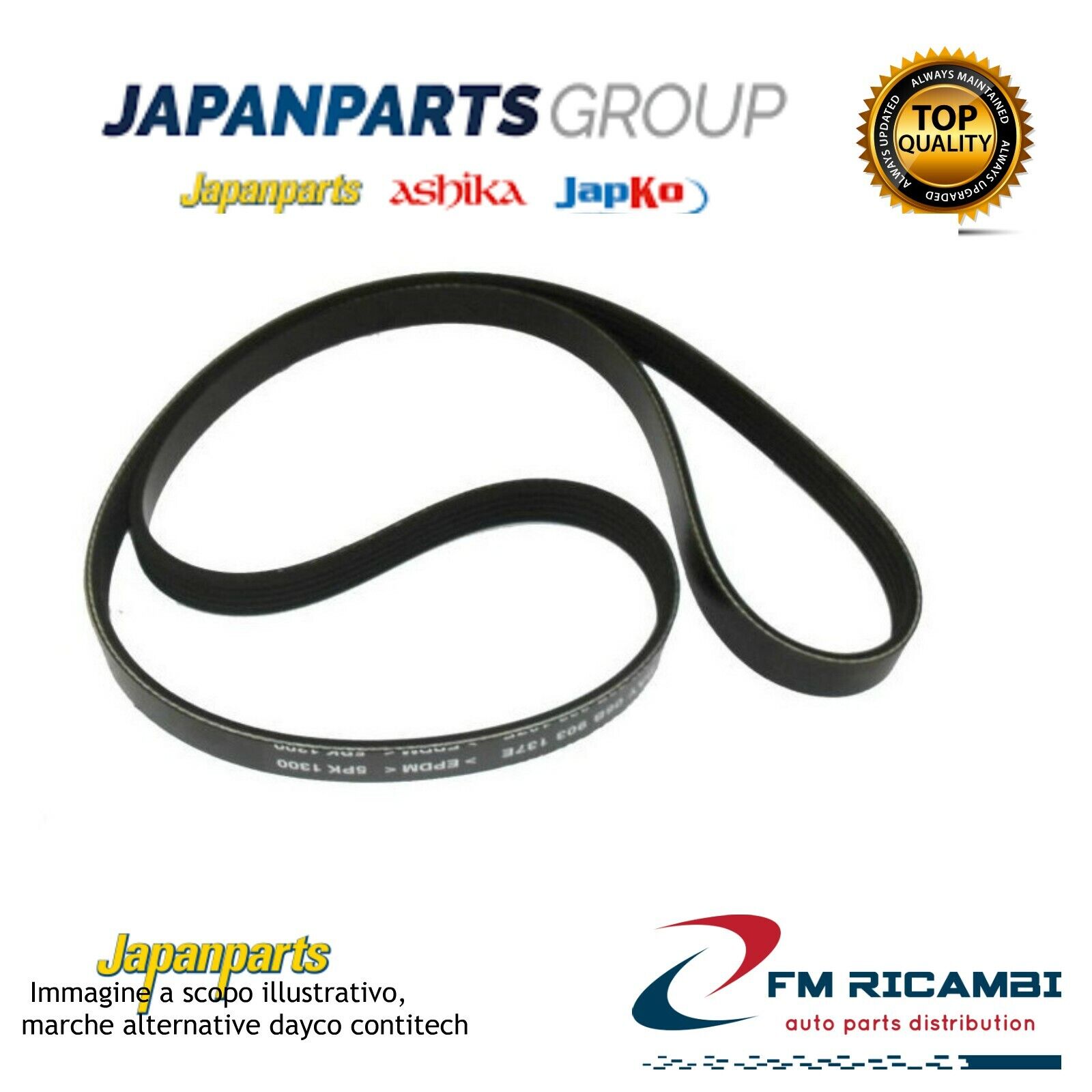 DV-4PK0800 JAPANPARTS Cinghia Poly-V HONDA CIVIC V Coupe (EJ) 1.6 i (EJ6