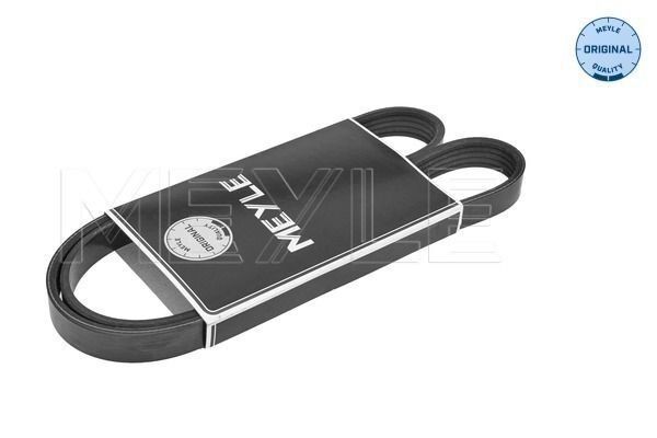 Cinghia Poly-V - MEYLE 050 005 0880