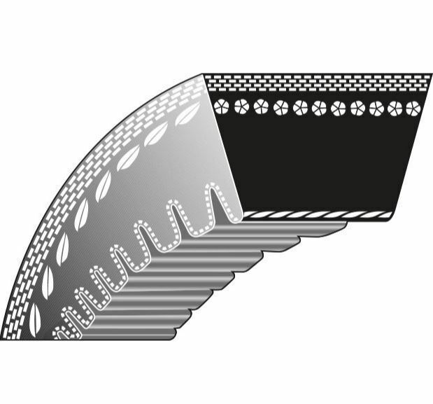 Cinghia dentata  rasaerba tagliaerba tosaerba KLIPPO COMET - PRO 21 - PRO S