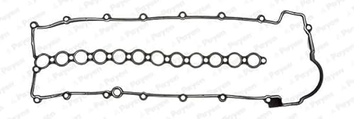 Payen Jm5106 Guarnizione, Copertura Testa A Clindro