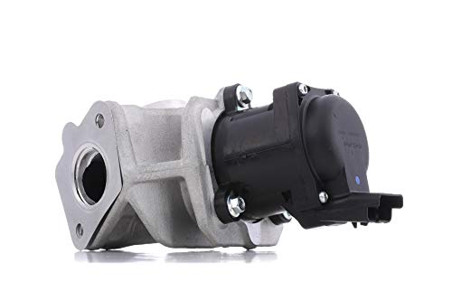 1 Delphi Valvola Ricircolo Gas Scarico-Egr Con Guarnizioni