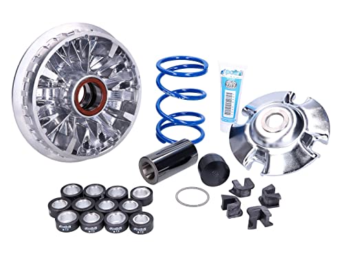 Variatore Hi-Speed Honda Sh 350 12 Rulli