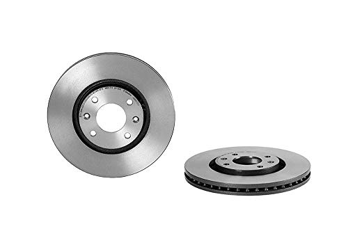 Brembo 09.9619.11 Brake Disc
