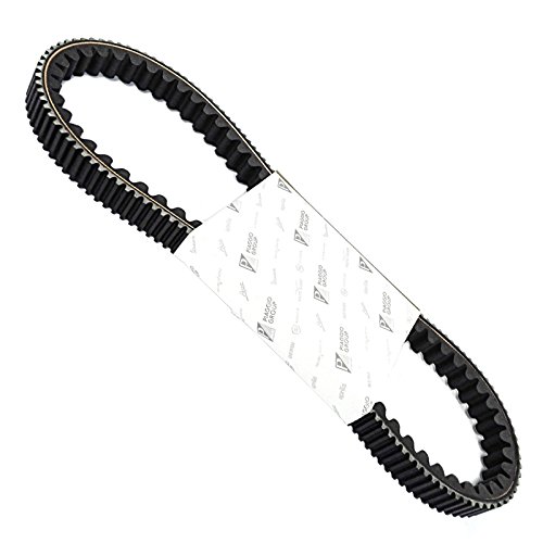 Cinghia Trasmissione Originale Piaggio/Aprilia/Gilera/Peugeot 832738