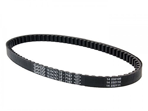 Dayco 7167 Cinghia Trapezoidale