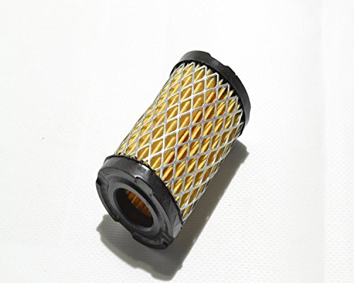 Filtro Aria Rasaerba Tecumseh Spectra 37/40 - 005367