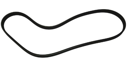 Dayco 4Pk736 Cinghia Poly-V