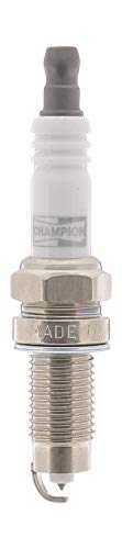 Champion Candela Platinum