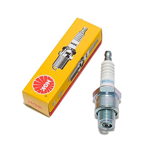 Candela Per Motocicletta Ngk Br8Hs Entstoert