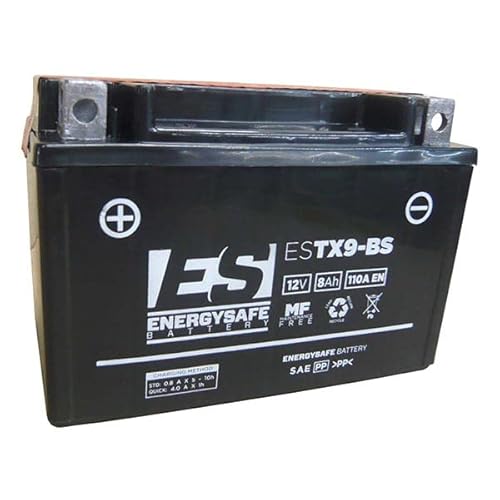 Batteria Energysafe Estx9-Bs 12V/8Ah