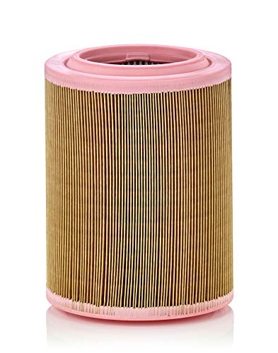 Mann-Filter C 18 003 Filtro Aria – Per Auto