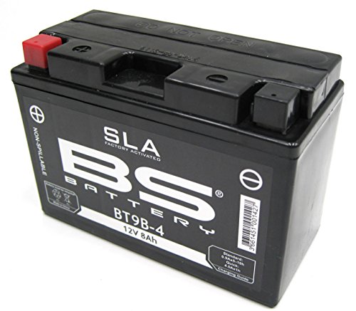 Batteria Radiocodice 300642 Bt9B -4 Sla Batteria Agm, Nero