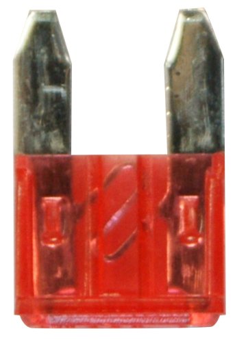 Cora 000120698 Micro Fusibili Mini Lamellari 10A, Scatola 100 Pezzi