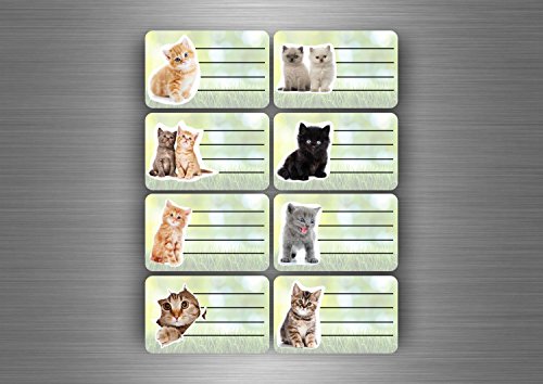 Akacha - Etichetta Adesiva Per Quaderno Scolastico / Libro / Raccoglitore, Motivo: Gatto (Confezione Da 16)